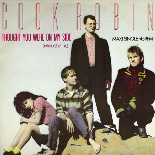 Capa de Thought You Were On My Side